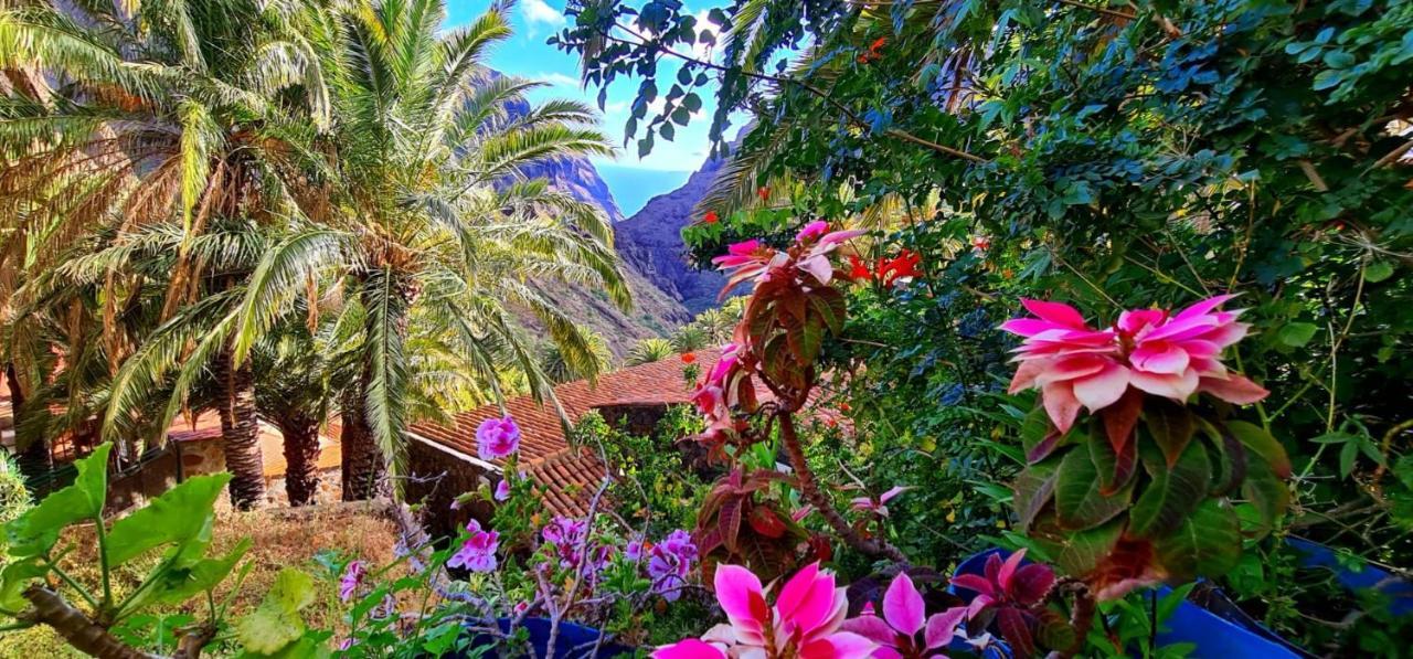 Paradise Tenerife Сан Мигель Экстерьер фото